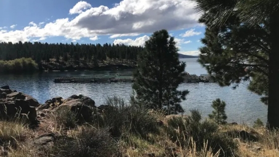 La Acuicultura en Neuquén: Potencial, desarrollo y desafíos