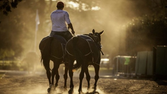 El esencial rol de los petiseros en la cría de caballos de polo