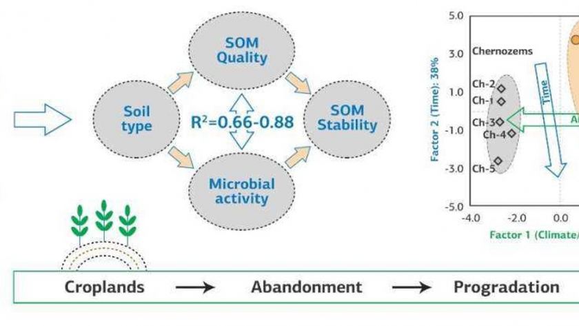 Los científicos del suelo determinan cómo se recupera la tierra cultivable abandonada