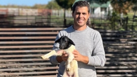 Del campo al consumidor: el auge de la carne ovina