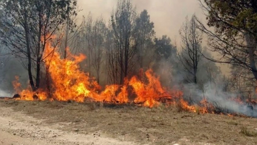 Lanzan un plan para restaurar las 37.000 hectáreas afectadas por los incendios en Jujuy