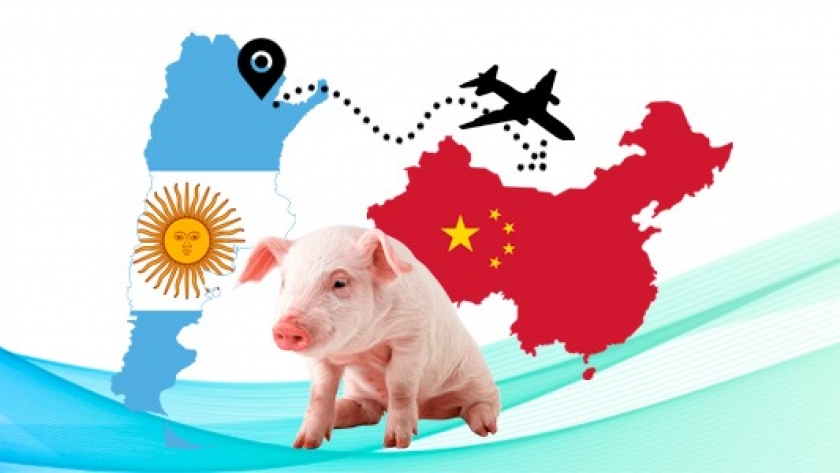Argentina más cerca del acuerdo porcino chino
