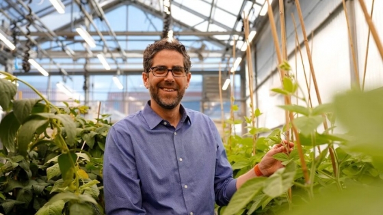 Spearhead Bio Launches TAHITI: A New Era for Precise Gene Insertion Beyond CRISPR