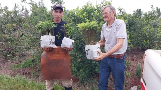 Medir para innovar: calculan la huella de carbono rural