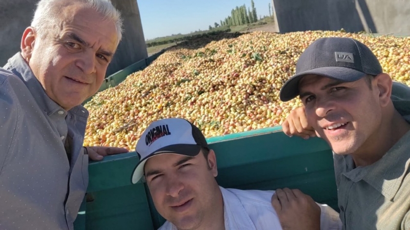 La familia Bravo produce pistacho en San Juan y lamenta no haya más productores