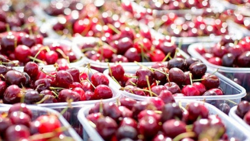 Convocan a pymes santacruceñas de alimentos y bebidas para incorporar normas de calidad