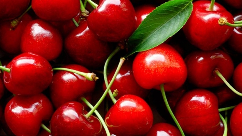 Se reafirman señales positivas en mercados chinos sobre venta de cerezas chilenas