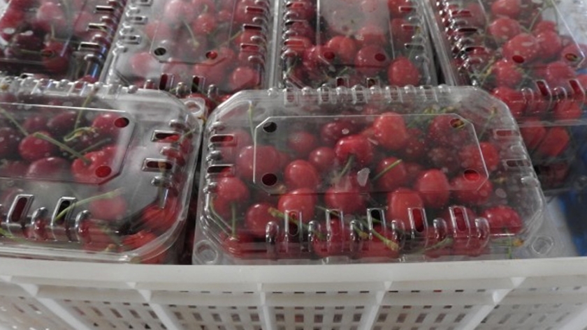 Producción de cerezas: El ministerio de Agricultura, Ganadería, Industria y Comercio  convoca a productores y municipios de cara a la próxima temporada