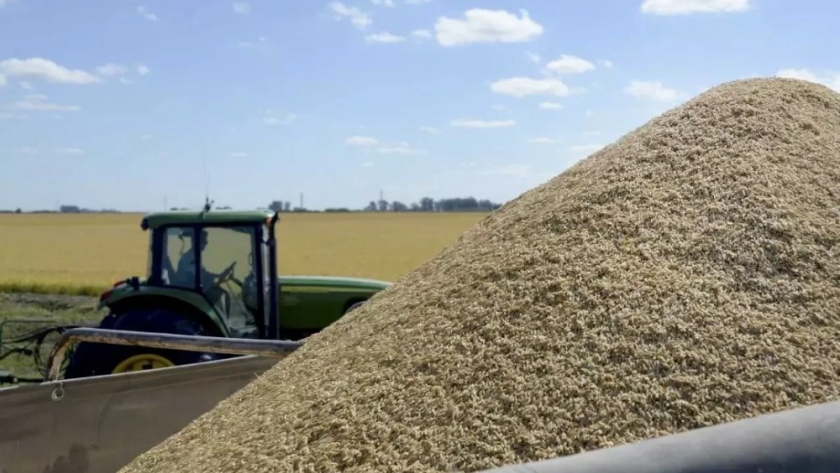 Nuevo proyecto agrícola promueve inversión y desarrollo en Argentina