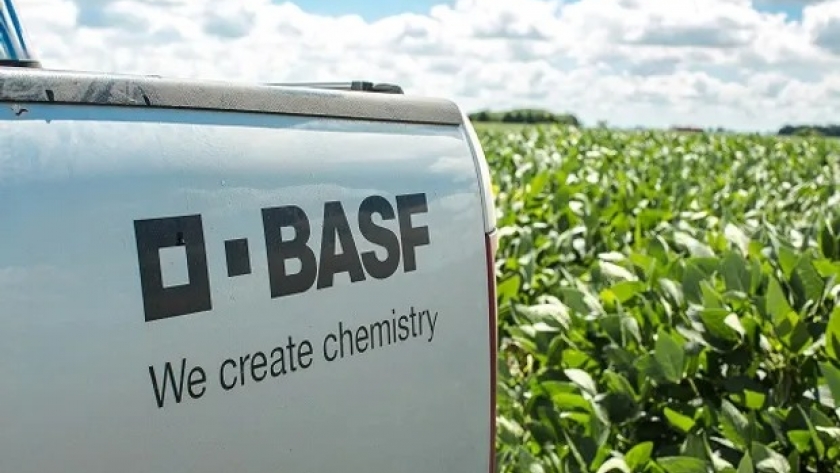 Expoagro 2024: las novedades que presenta BASF en protección de cultivos, tratamiento de semillas y nuevas variedades