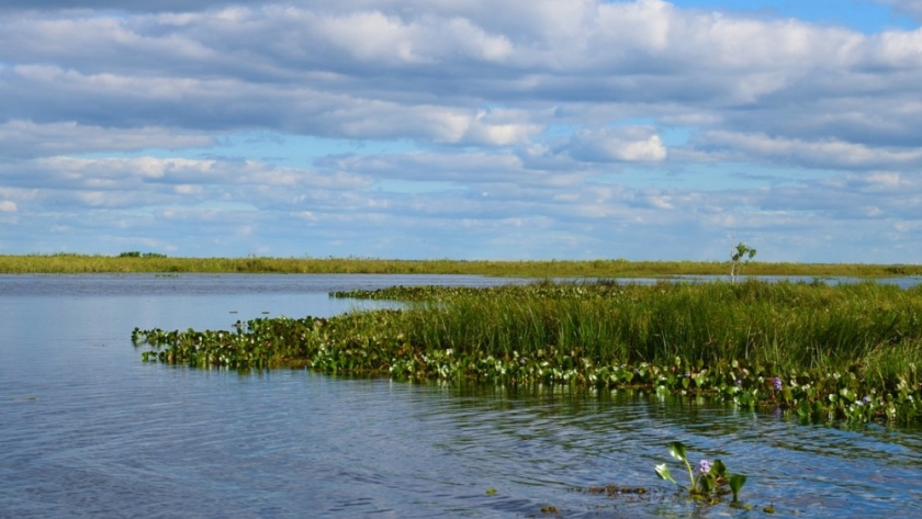 Corrientes celebra el 38º aniversario de la creación de la Reserva Provincial Iberá