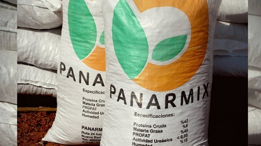 Producir más leche con menor costo: ¿por qué expeller extrusado de soja?