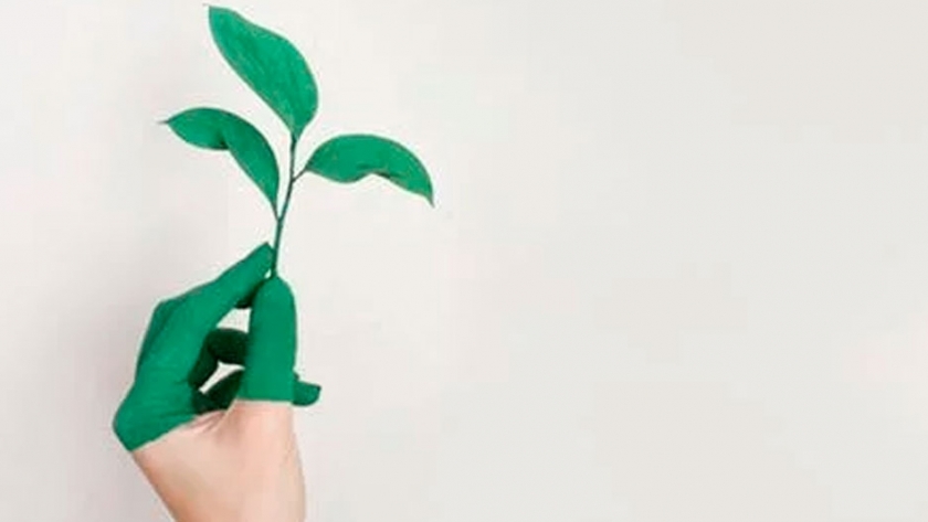 Integrado la agenda de sustentabilidad