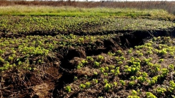 Advierten sobre la degradación de los suelos en la cuenca más extensa de Rosario
