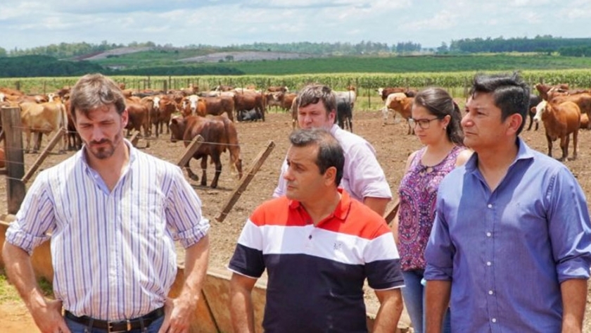 El Presidente del IFAI donará su sueldo a Salud Pública