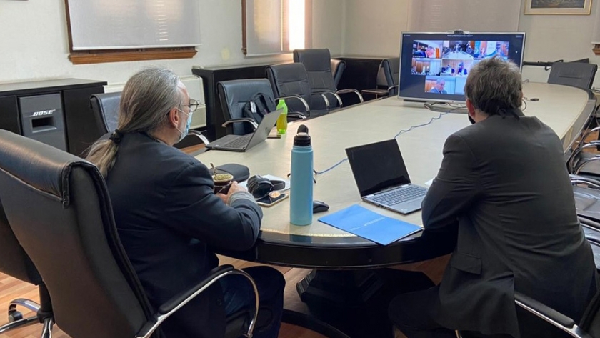 Basterra destacó en la reunión del Consejo Agropecuario del Sur las medidas adoptadas por Argentina frente a la pandemia