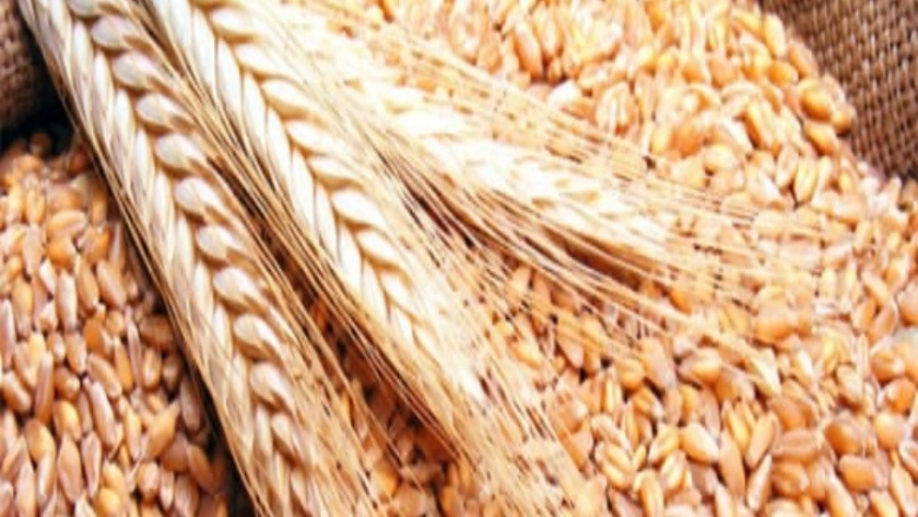 La molienda de trigo en el primer semestre fue la segunda más grande en una década