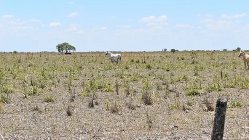 Prorrogan la emergencia agropecuaria para Santa Fe, Río Negro y La Pampa por la sequía
