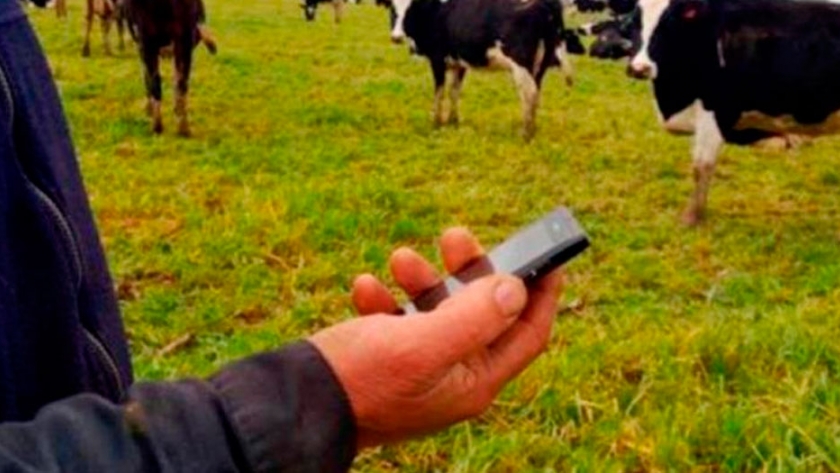 Otorgan financiamiento a cooperativas para conectividad rural