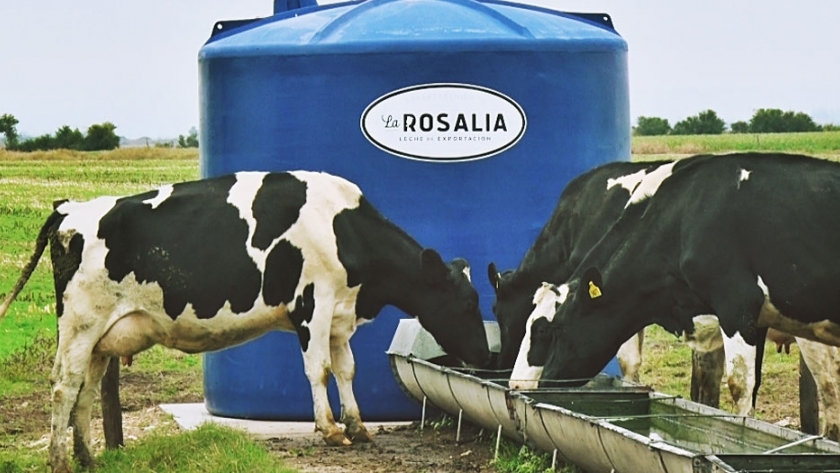 Tambo con energía solar produce leche certificada