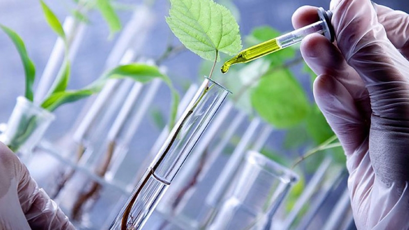 Científicos conforman la Sociedad Boliviana de Biotecnología para impulsar investigación y desarrollo