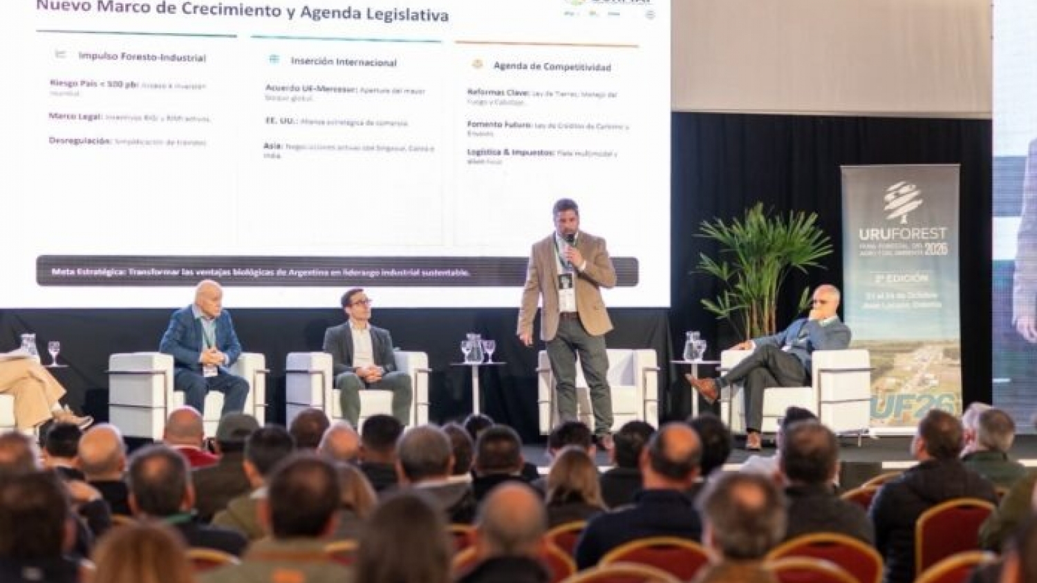 Industria forestal argentina: oportunidades frente al Cono Sur