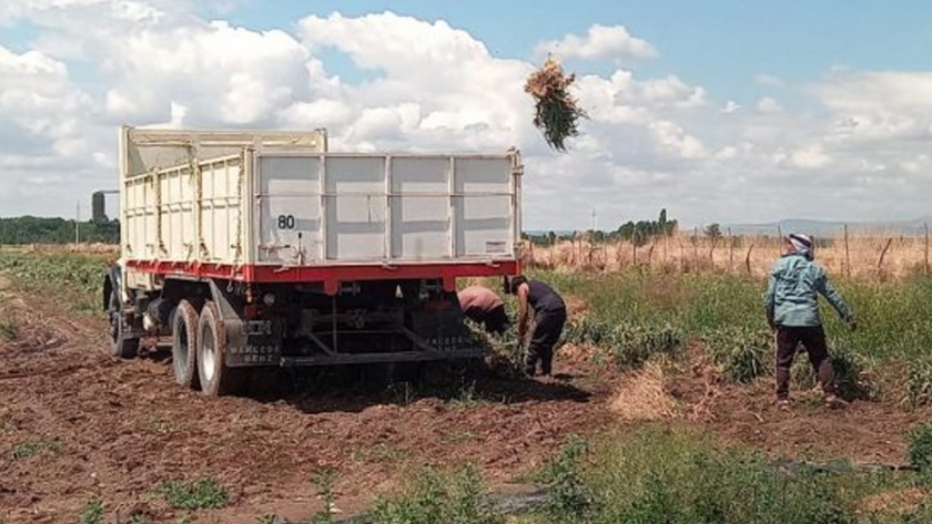 Tras la caída de granizo, Economía visitó a productores del Valle de Uco
