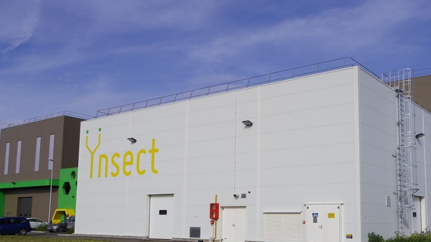 Una nueva fábrica en Francia producirá insectos en masa como alimento