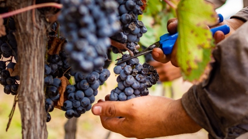 Un tour a medida con Malbec Riojano