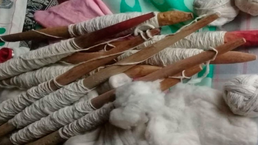 En algodón agroecológico, el INTA y Embrapa hilan fino