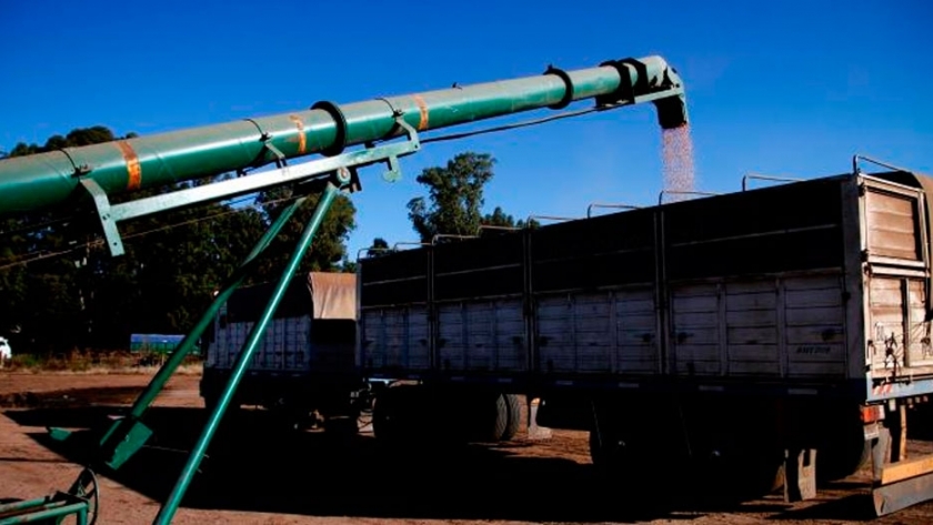 Argentina y seis países de Sudamérica fijan pautas para garantizar el tránsito de alimentos