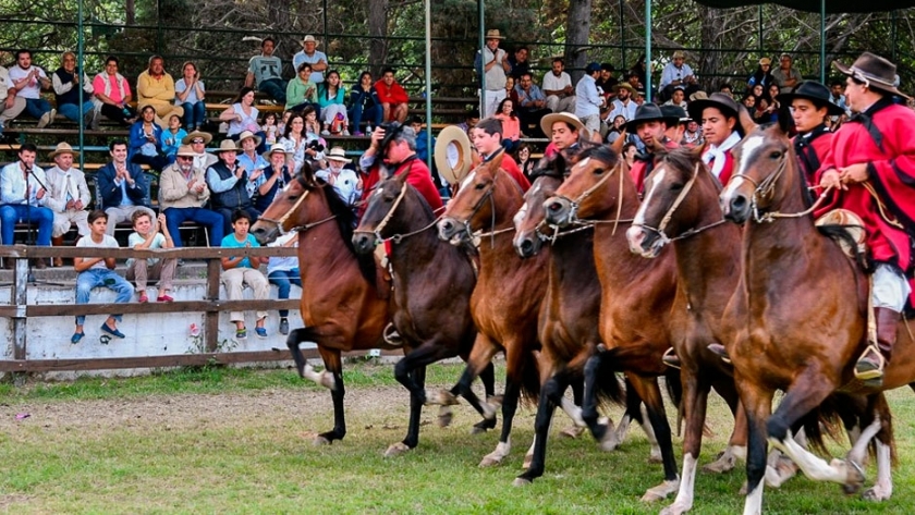 El gobernador participó en el cierre del concurso de la Asociación Argentina de Criadores de Caballos Peruanos de Paso