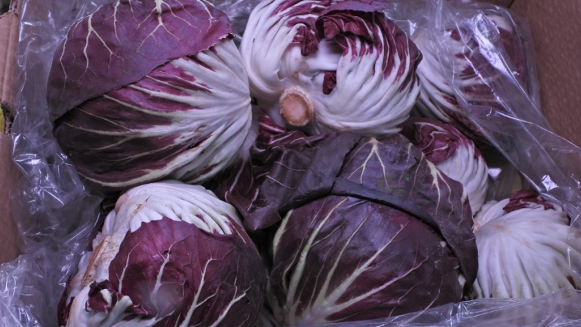 Radicchio