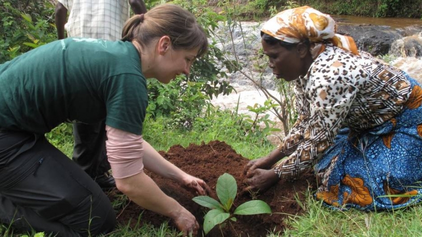 Green Belt Movement: una organización que empodera a mujeres para preservar  el medio ambiente | Agroempresario.com