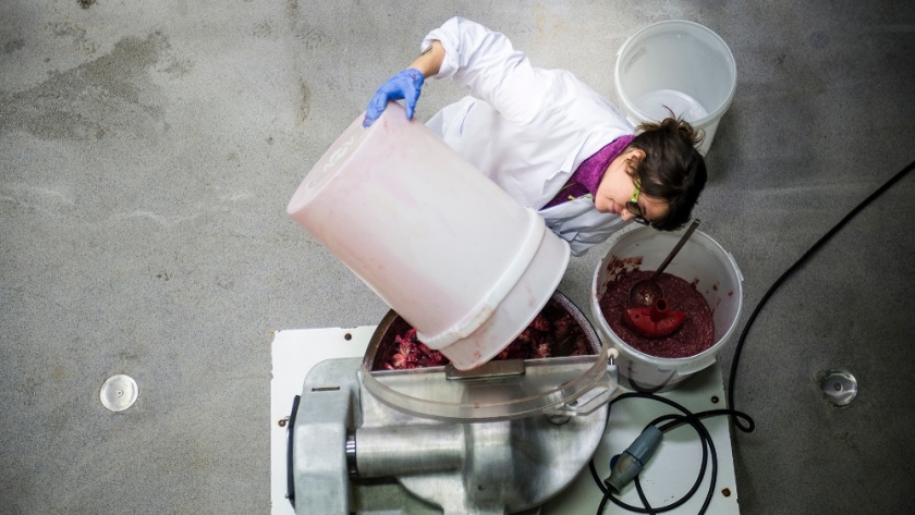 Una investigación noruega descubre un mecanismo para reconvertir en alimentos restos de la industria pesquera