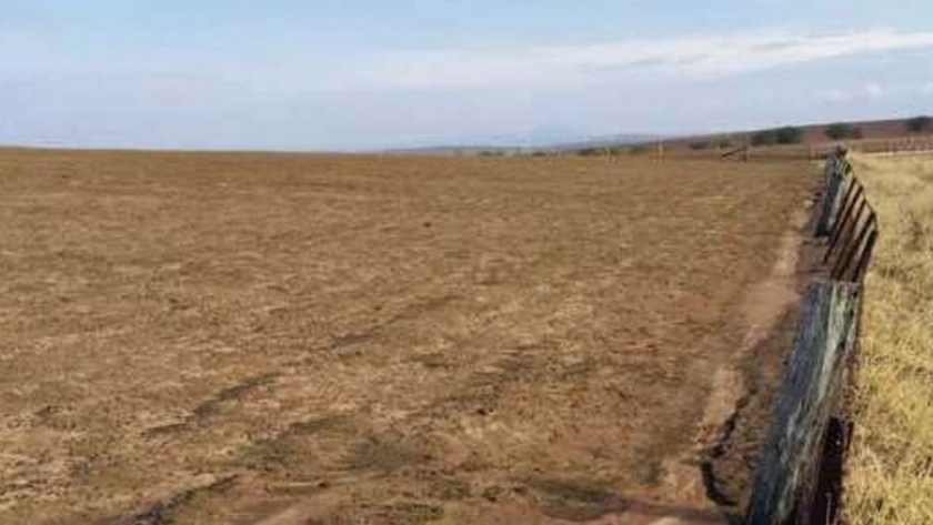 La agricultura intensiva está consumiendo el continente australiano, pero hay otra forma