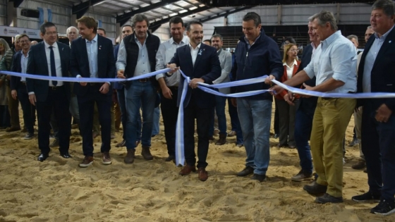 Corrientes mostró su potencial ganadero con destacados campeones