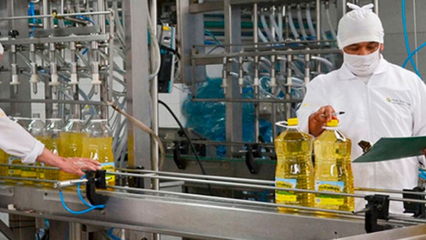Exportación argentina de subproductos del girasol caerá más de 30% por coronavirus