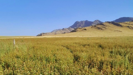 Impulsan prácticas ganaderas para mejorar la producción y recuperar la biodiversidad