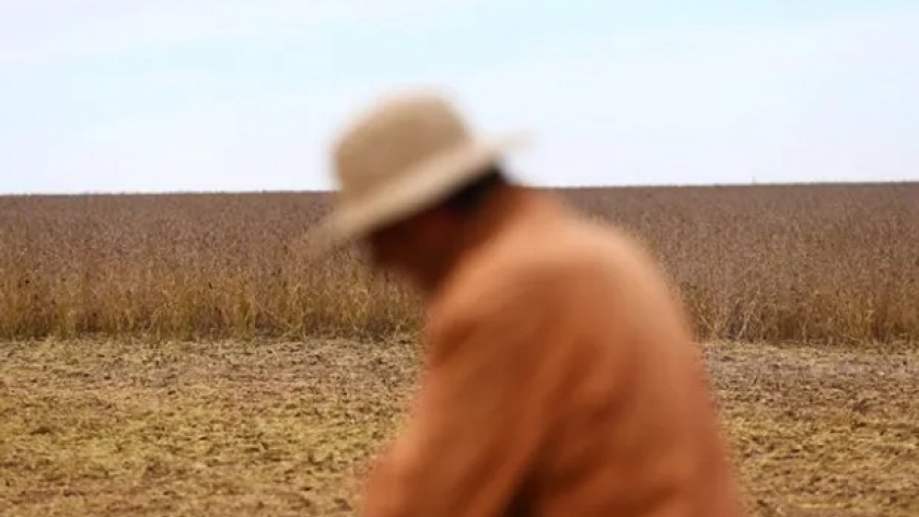 La venta de soja es de las más lentas de la historia: los gráficos de la comercialización de los últimos 10 años