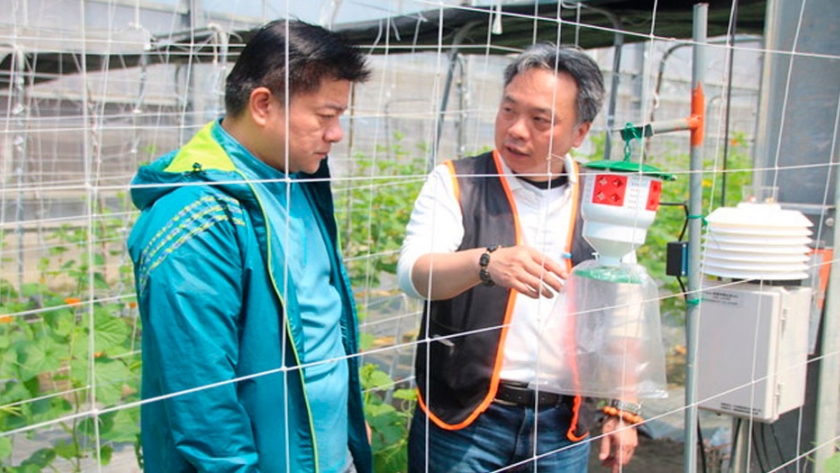 Taiwán: el productor de alimentos más exitoso del mundo 