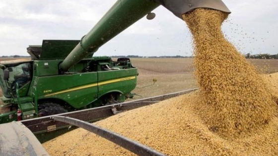 La producción total de soja en el centro norte de Santa Fe un 50% por debajo del ciclo 2021/22