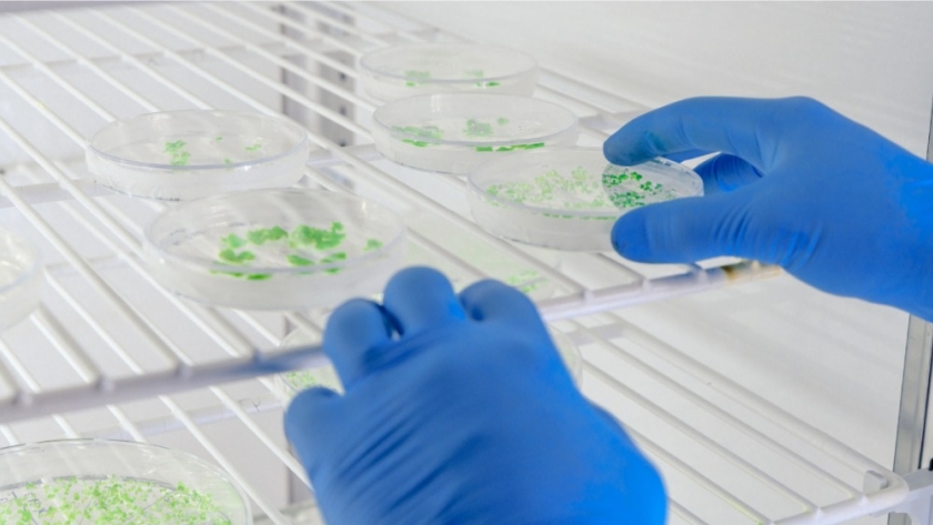 Día de la Biotecnología: Santa Fe realizará el conservatorio “Jóvenes para Transformar Santa Fe”