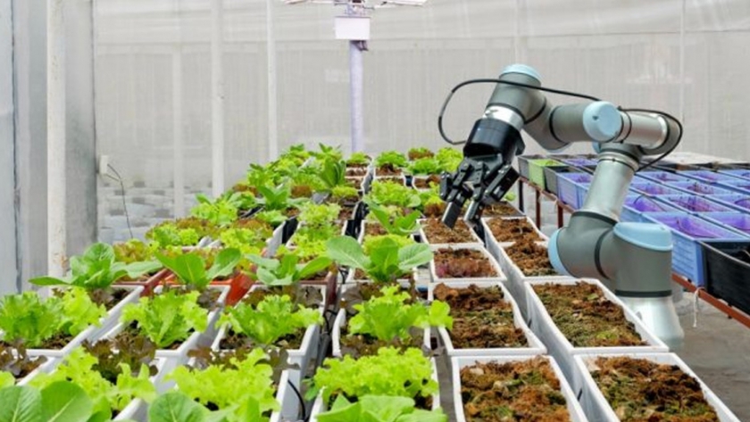 Mendoza lanza convocatoria de créditos blandos para proyectos de alto impacto tecnológico