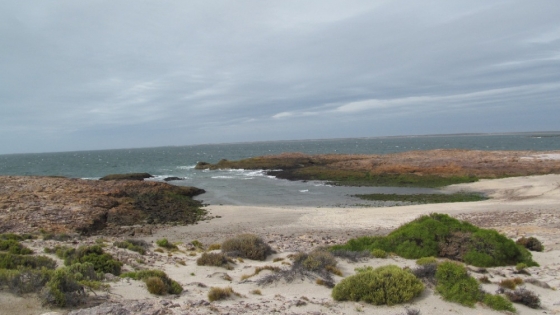 Punta Médanos se afianza como la escapada elegida del Carnaval para huir de las multitudes