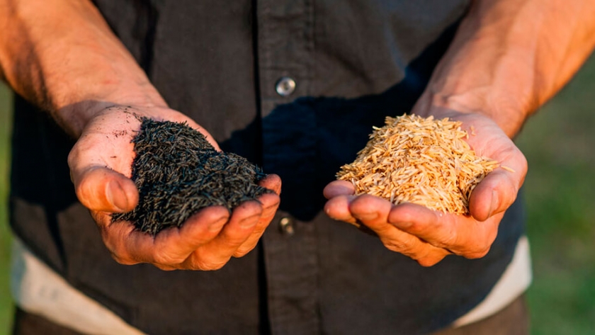 La revolución del asado: un argentino creó una fábrica de carbón ecológico con desechos orgánicos de arroz
