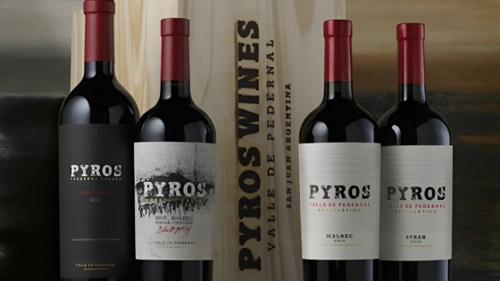 Pyros Wines: innovación y precisión en el Valle de Pedernal