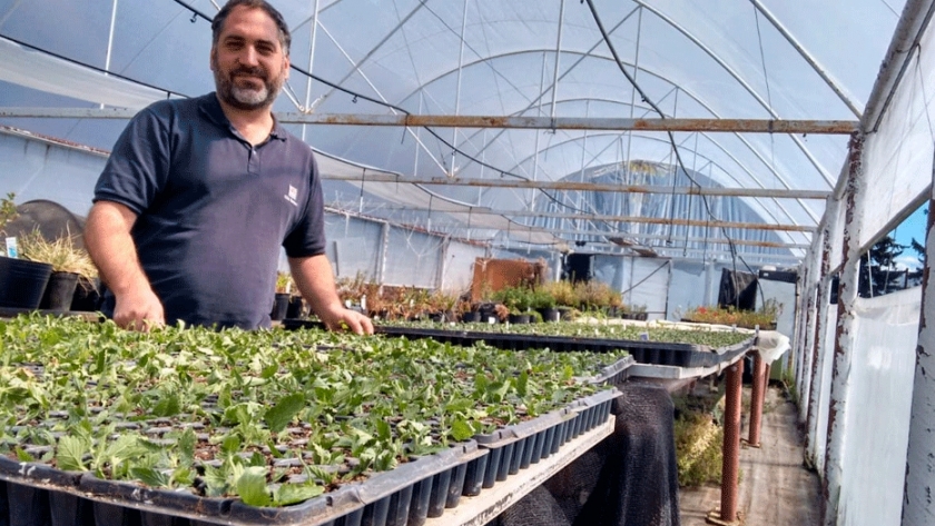 Presentan dos nuevas variedades de flores