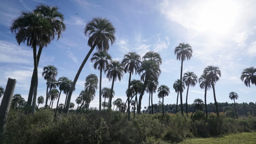 Argentina presenta los avances de la agenda ambiental del MERCOSUR