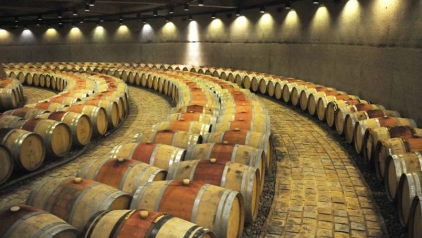 Turismo y vinos: más de 1 millón de viajeros llegaron a las bodegas